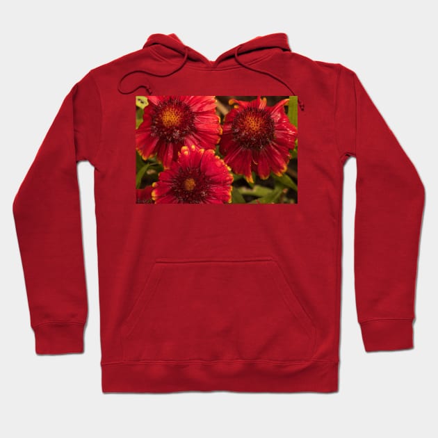 Red Blooms Hoodie by Memories4you